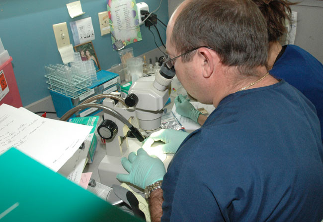 Crime Lab | Calcasieu Parish Sheriff's Office, LA