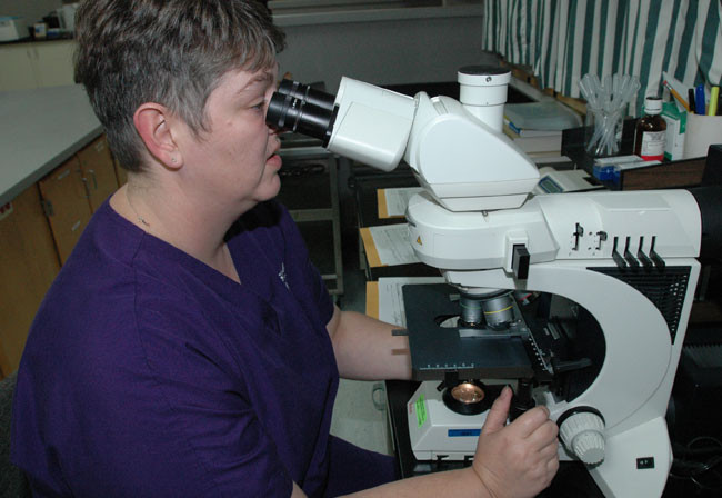 Crime Lab | Calcasieu Parish Sheriff's Office, LA