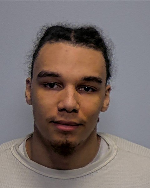 Booking photo of Delise Marie Ross