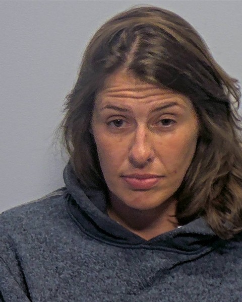 Booking photo of Travis Shea Hornett