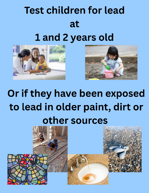 Test children for lead 1 and 2 years old Or if they have been exposed to lead in older paint, dirt or other sources.