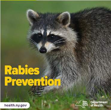Rabies Prevention.
