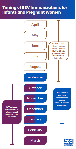 Condenses information found on various subpages of  cdc.gov/rsv about when babies should get Immunizations.