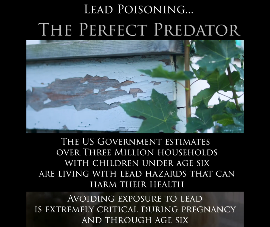 Lead Poisoning...THE PERFECT PREDATOR, The US Government estimates over three million households with children under age six are living with lead hazards that can harm their health, Avoiding exposure to lead is extremely critical during pregnancy and through age six.