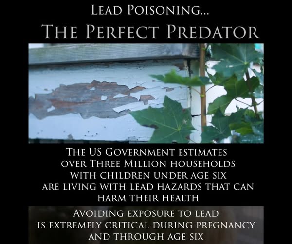 LEAD POISONING...THE PERFECT PREDATOR. THE US GOVERNMENT ESTIMATES OVER THREE MILLION HOUSEHOLDS WITH CHILDREN UNDER AGE SIX HARM ARE LIVING WITH LEAD HAZARDS THAT CAN HARM THEIR HEALTH. AVOIDING EXPOSURE TO LEAD IS EXTREMELY CRITICAL DURING PREGNANCY AND THROUGH AGE SIX