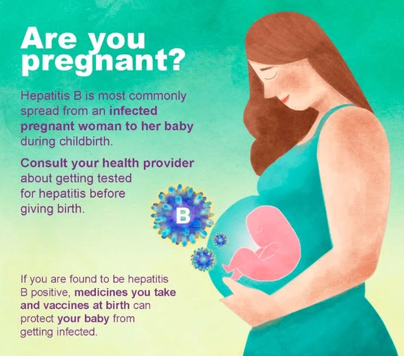 Are you pregnant? Hepatitis B is most commonly spread from an infected pregnant woman to her baby during childbirth. Consult your health provider about getting tested for hepatitis before giving birth. If you are found to be hepatitis B positive, medicines you take and vaccines at birth can protect your baby from getting infected.