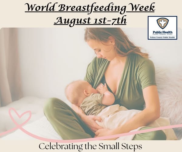 A mother breastfeeding her infant with text: World Breastfeeding Week August 1st-7th. Celebrating the Small Steps.
