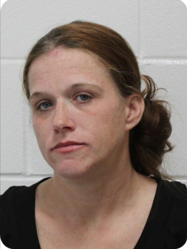 Booking photo of Heather Dennis