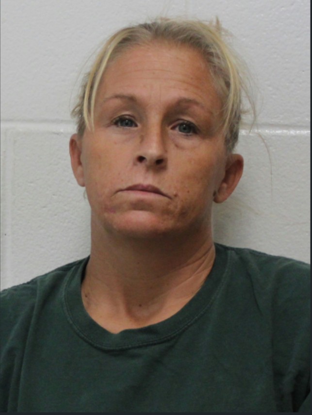 Booking photo of Lyndsey Mansfield